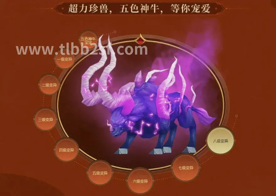 版本更新